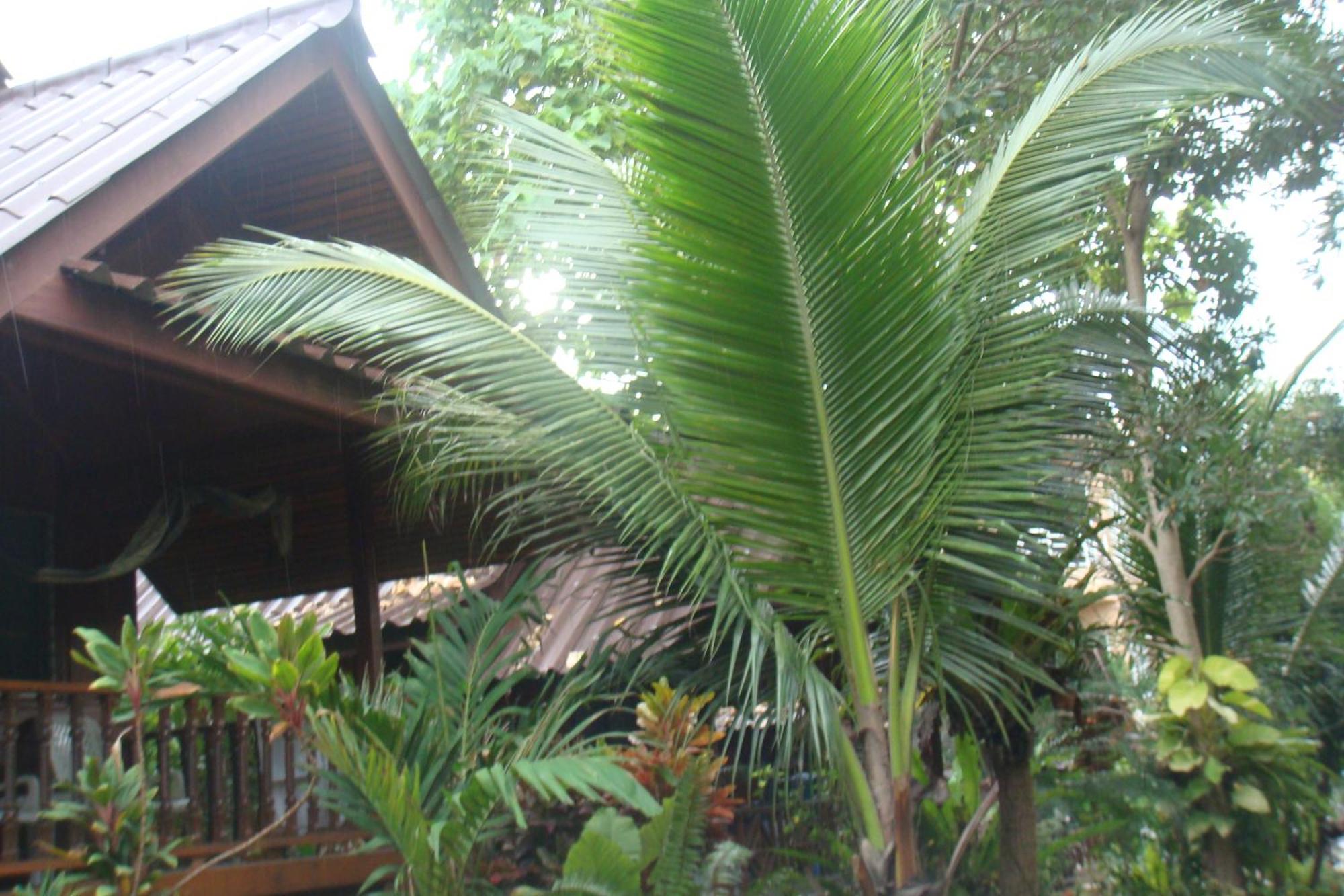 Silver Sands Resort - Ko Tao Ngoại thất bức ảnh